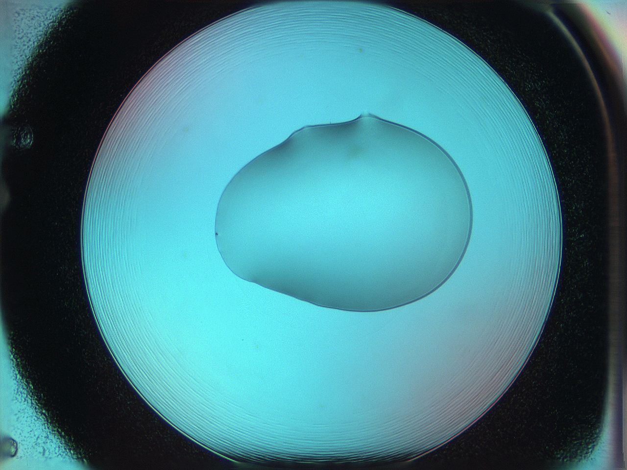 05yw_F5_ImagerDefaults_0.jpg
