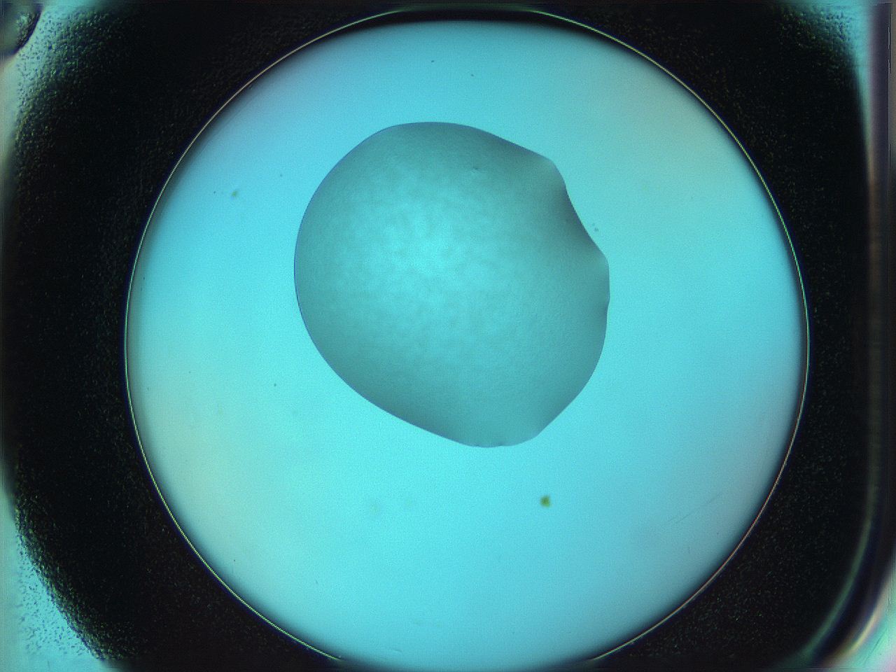 05yw_F6_ImagerDefaults_5.jpg