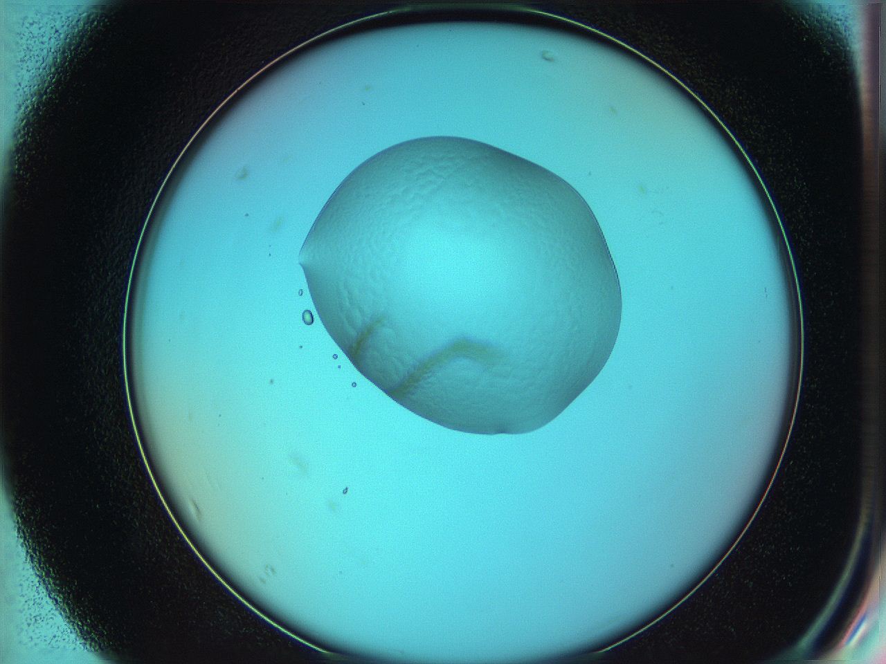 05yw_F7_ImagerDefaults_5.jpg