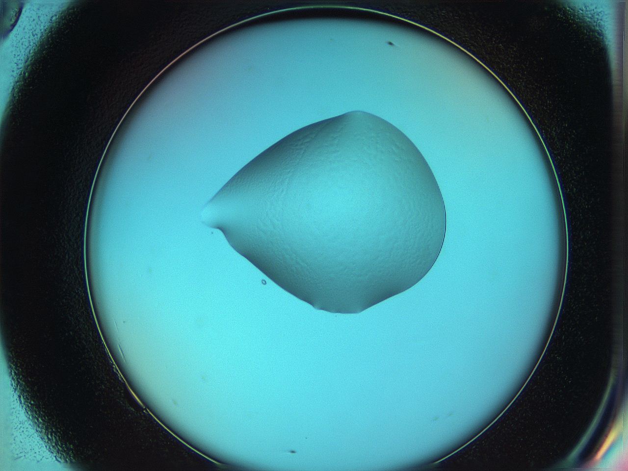 05yw_F9_ImagerDefaults_5.jpg