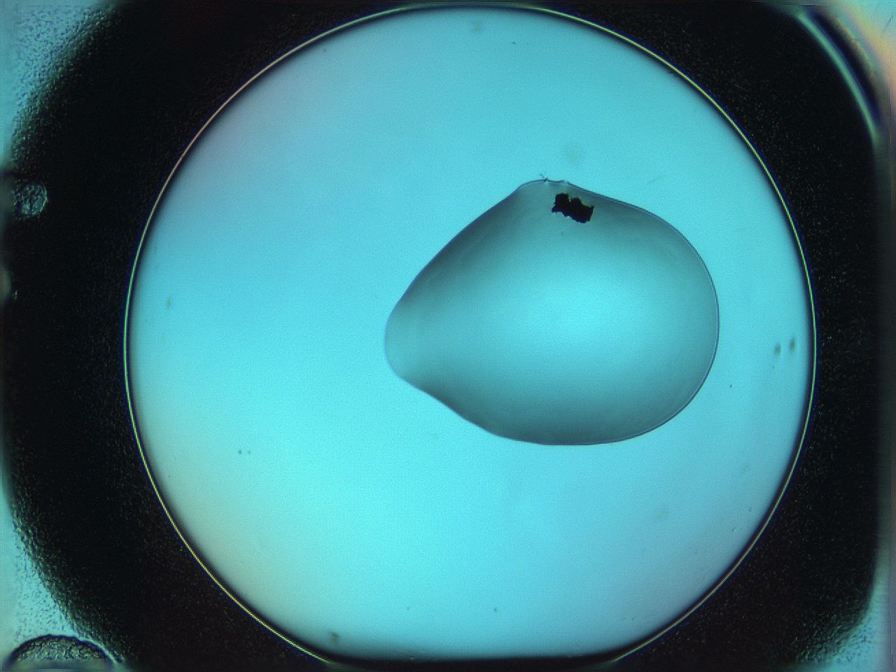 05yw_F10_ImagerDefaults_0.jpg