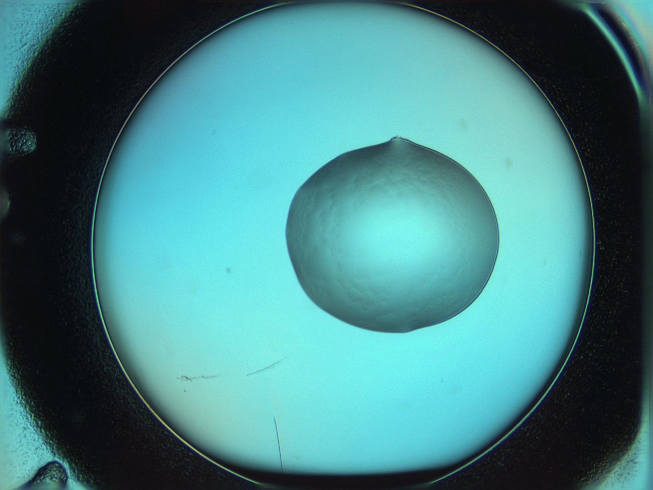 05yw_F11_ImagerDefaults_0.jpg