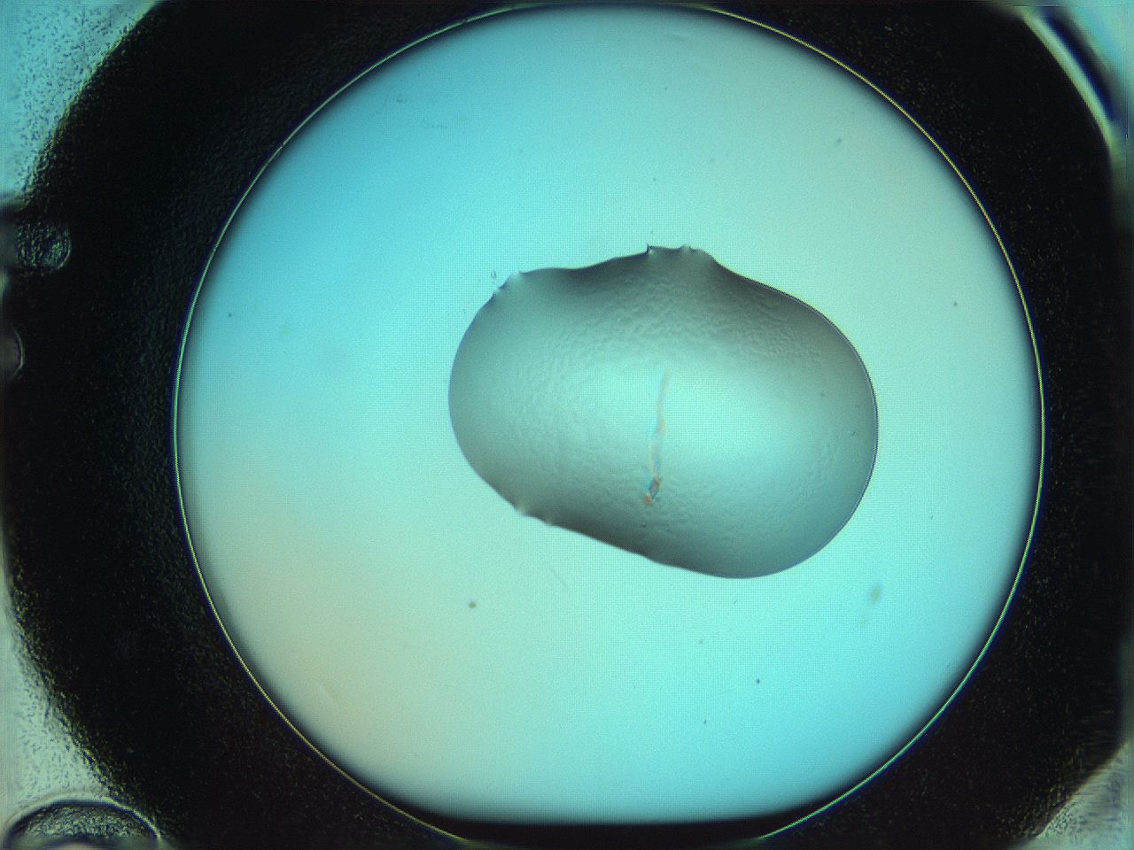 05yw_F12_ImagerDefaults_0.jpg