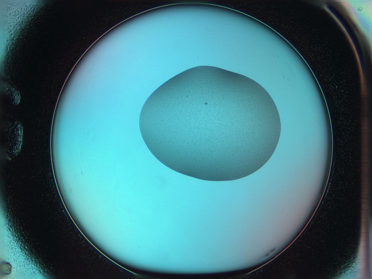 05yw_G5_ImagerDefaults_0.jpg