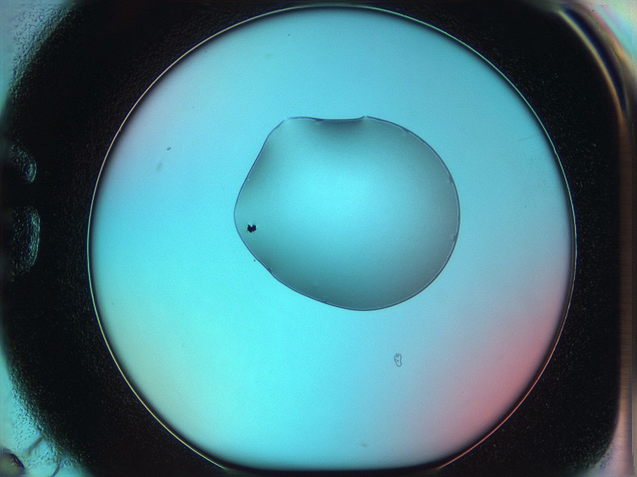 05yw_G6_ImagerDefaults_0.jpg