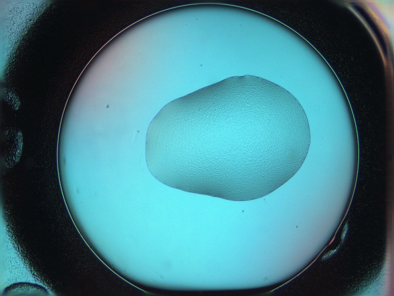 05yw_G10_ImagerDefaults_0.jpg