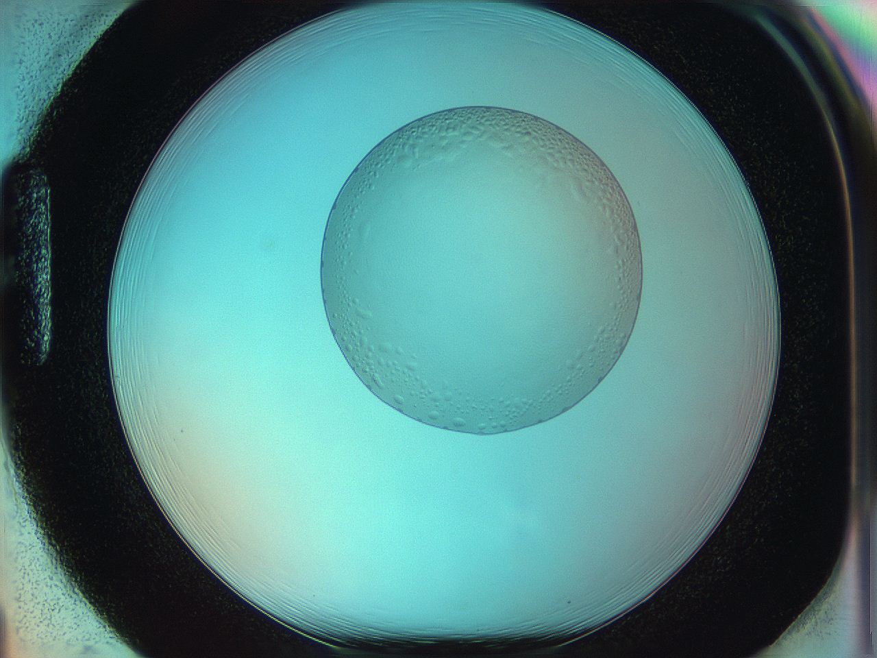 05yw_H1_ImagerDefaults_5.jpg