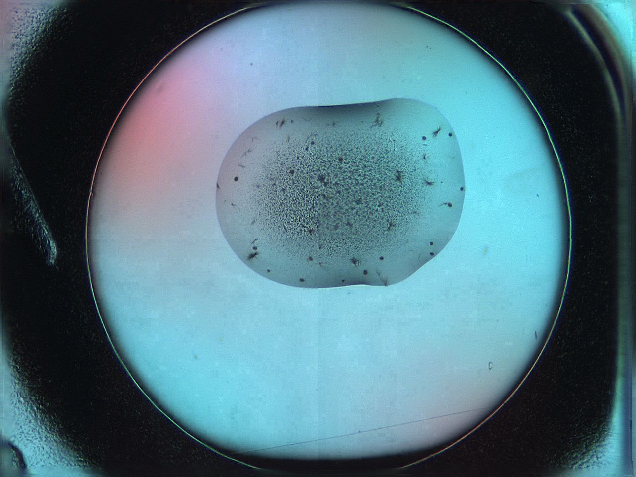 05yx_A3_ImagerDefaults_7.jpg