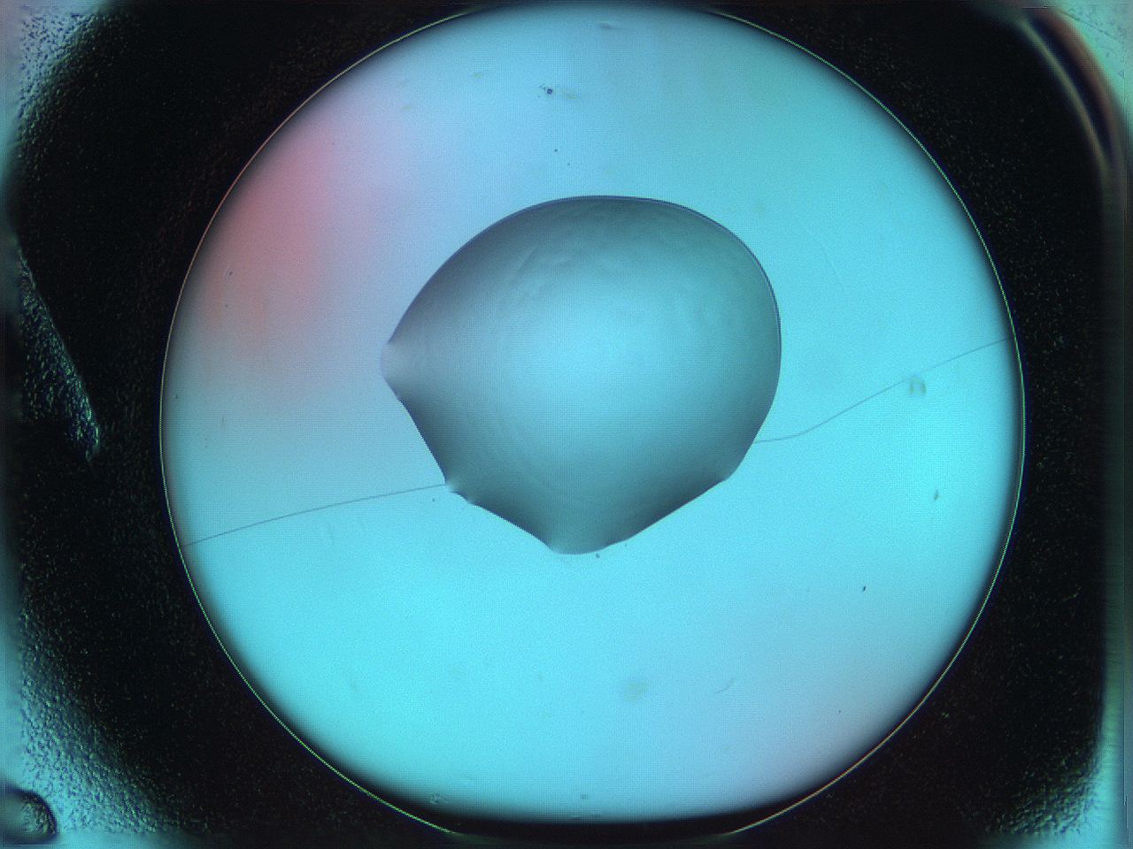 05yx_A6_ImagerDefaults_0.jpg