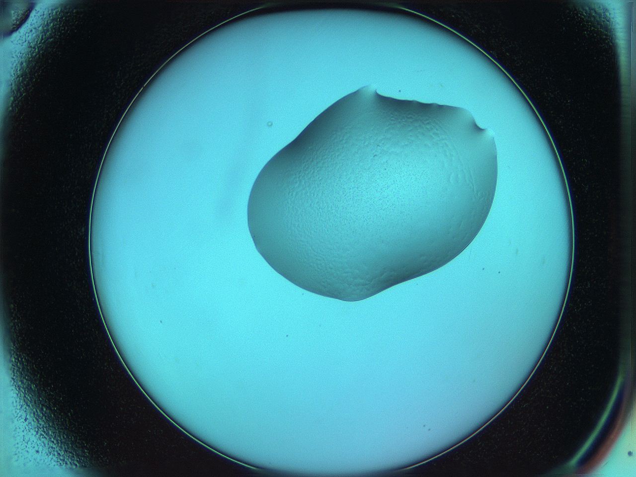 05yx_A6_ImagerDefaults_3.jpg