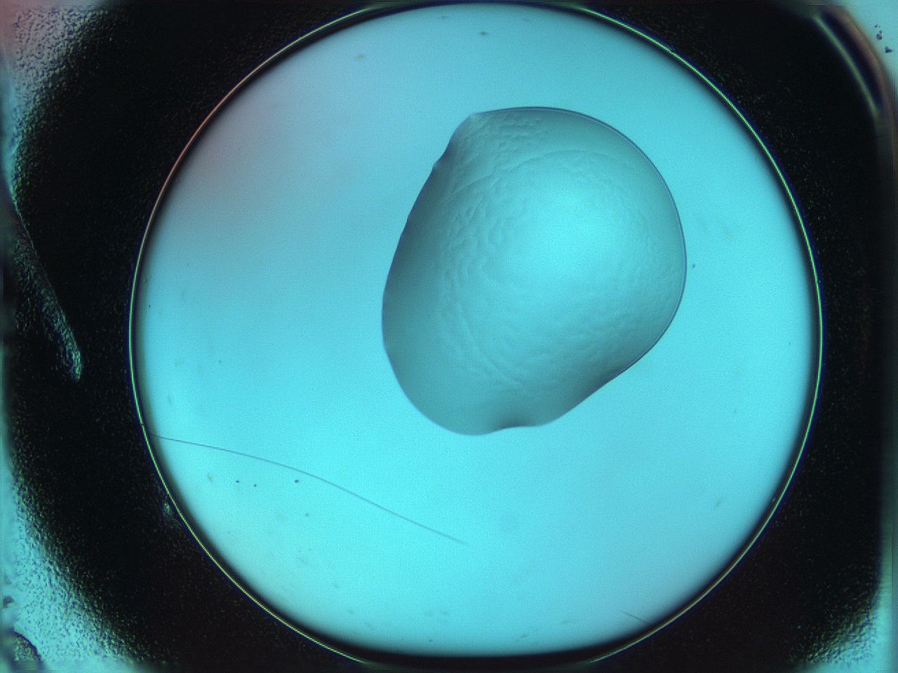 05yx_A9_ImagerDefaults_0.jpg