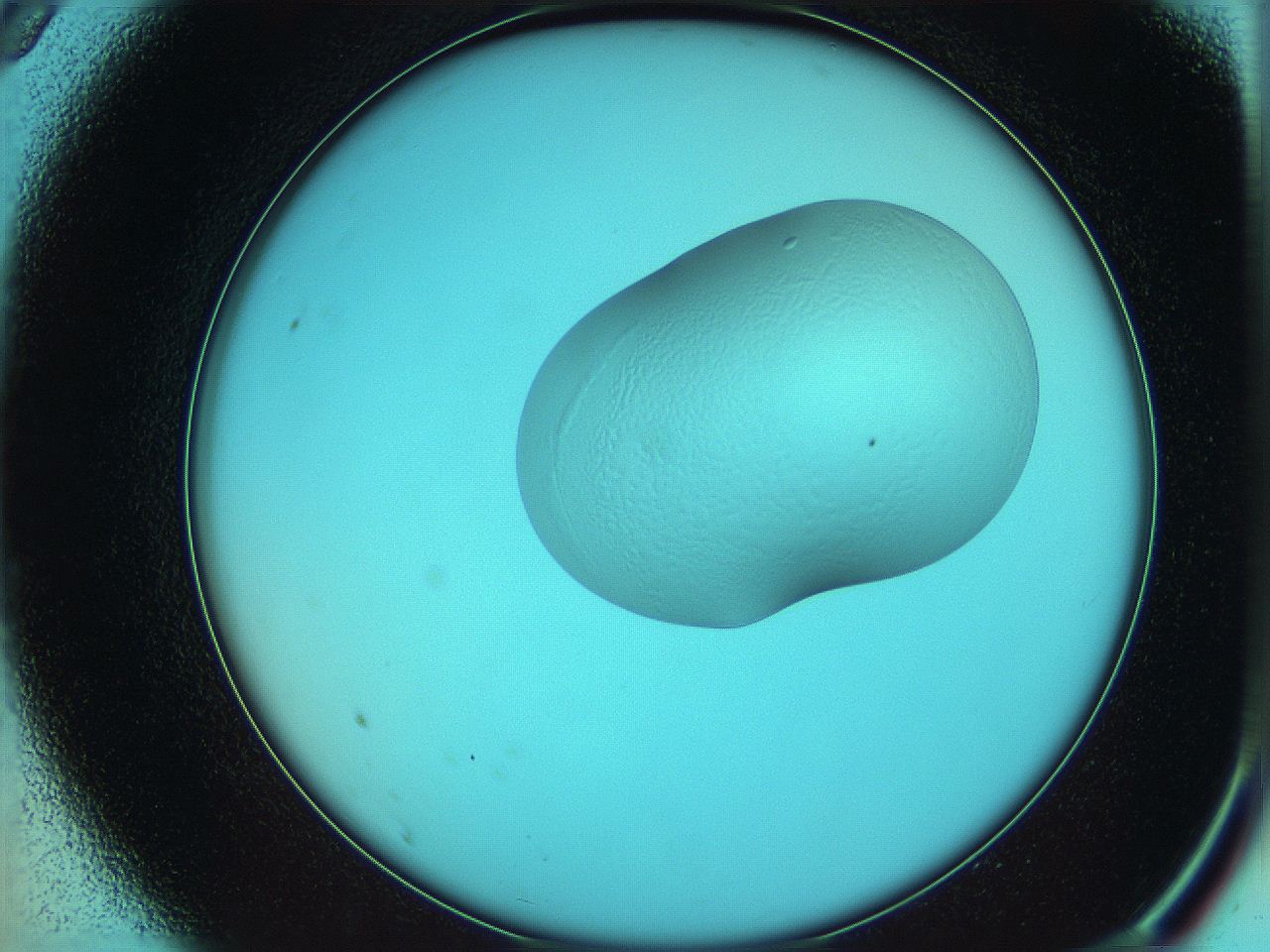 05yx_A9_ImagerDefaults_3.jpg