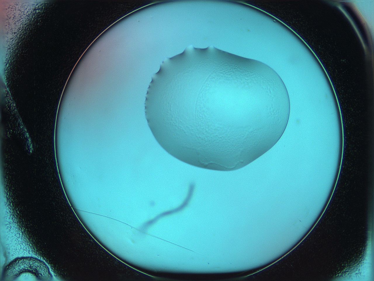 05yx_A10_ImagerDefaults_0.jpg