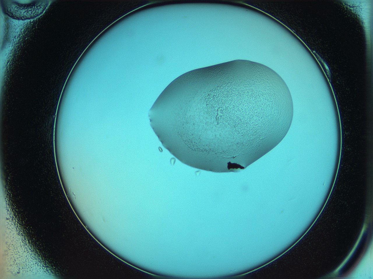 05yx_A10_ImagerDefaults_3.jpg