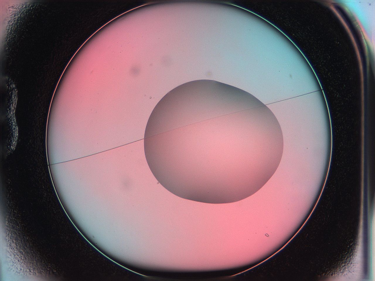 05yx_B1_ImagerDefaults_0.jpg