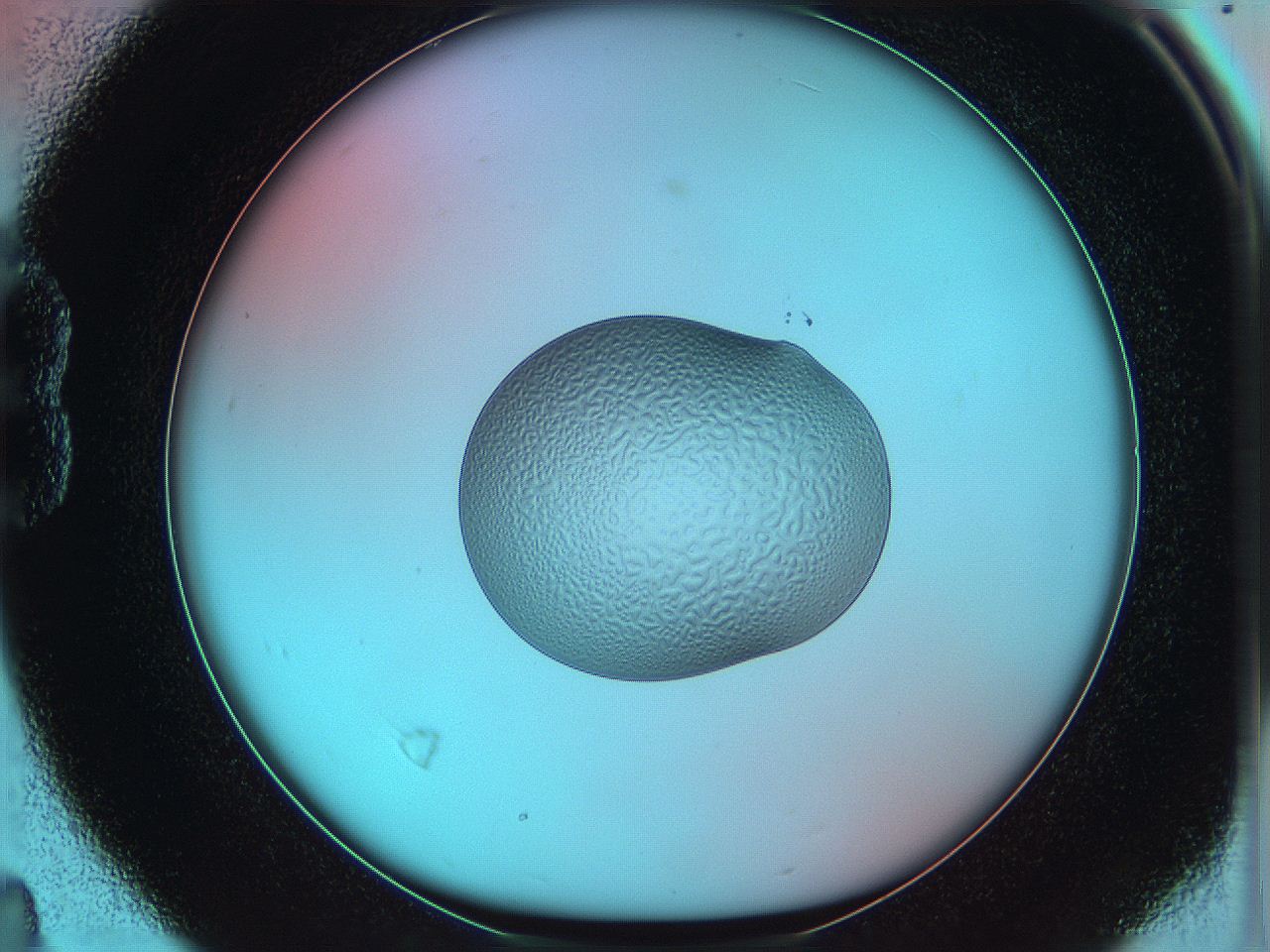 05yx_B4_ImagerDefaults_5.jpg
