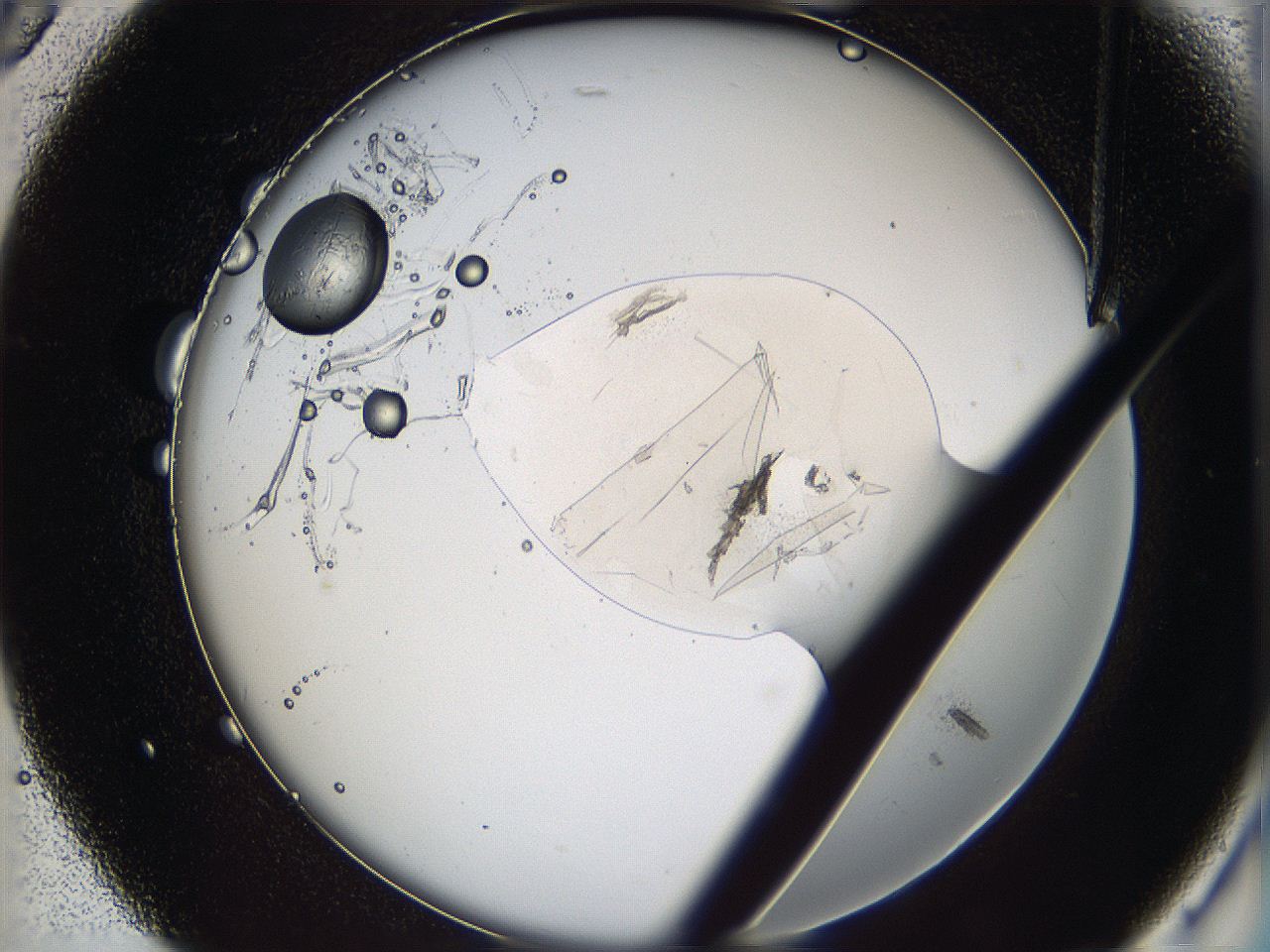 05yx_B5_ImagerDefaults_9.jpg
