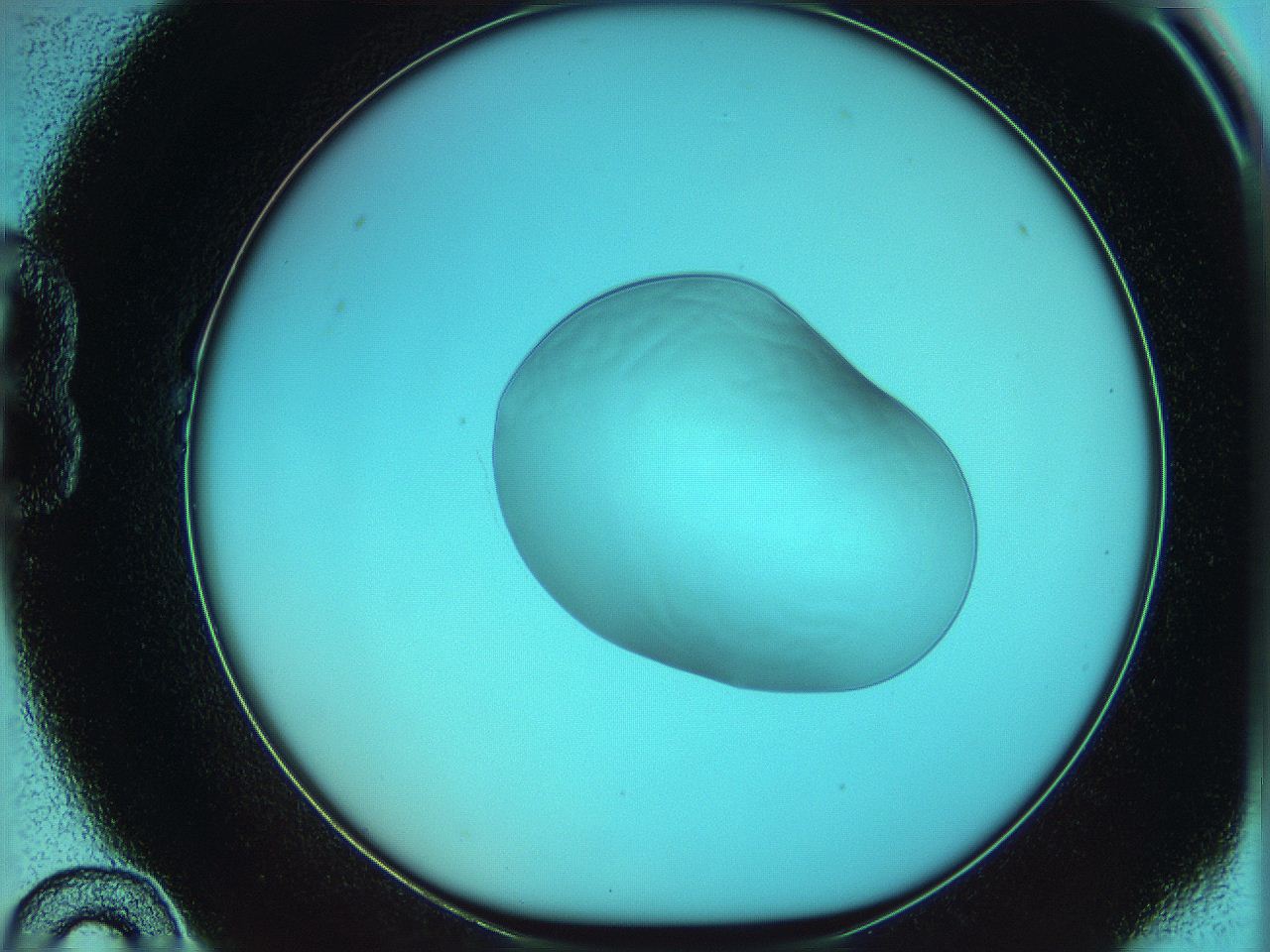 05yx_B10_ImagerDefaults_0.jpg