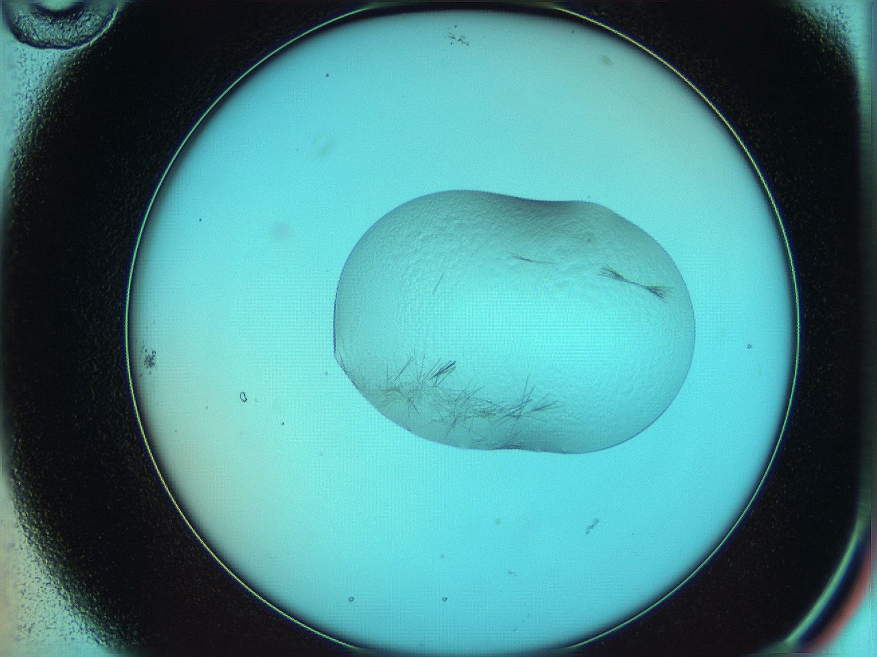 05yx_B10_ImagerDefaults_7.jpg