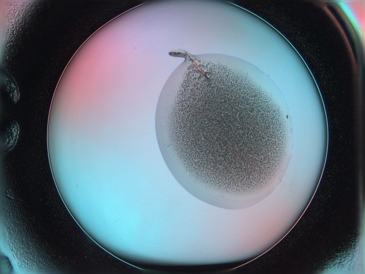 05yx_C3_ImagerDefaults_3.jpg