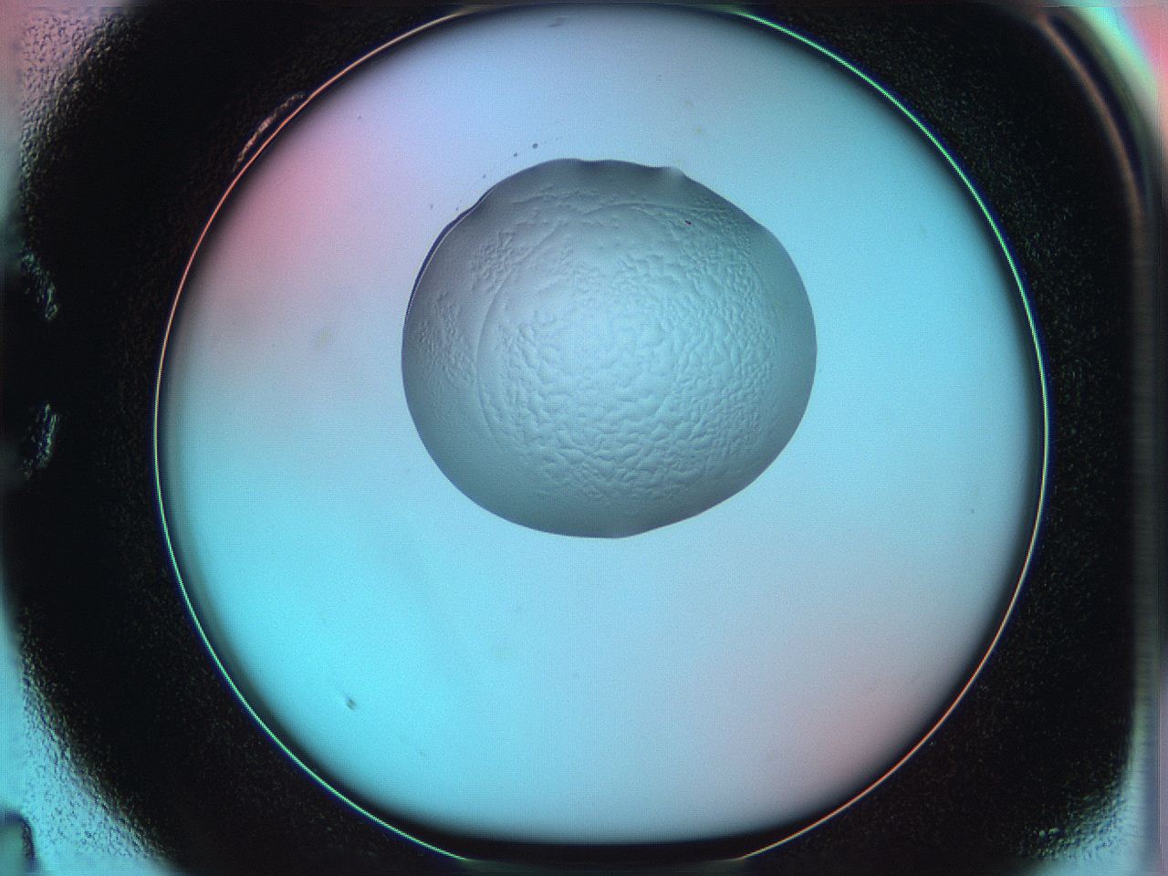 05yx_C4_ImagerDefaults_5.jpg