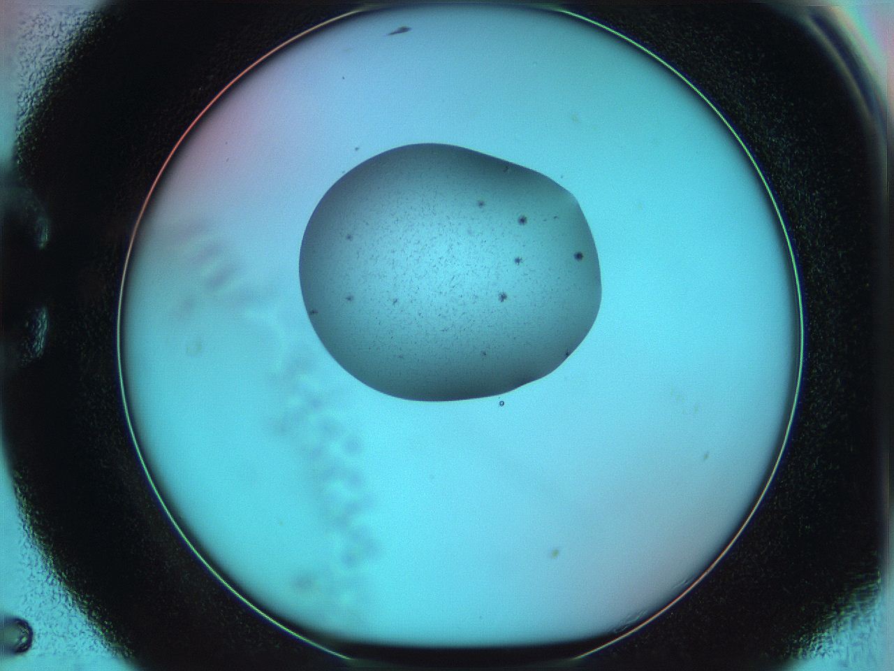 05yx_C5_ImagerDefaults_0.jpg