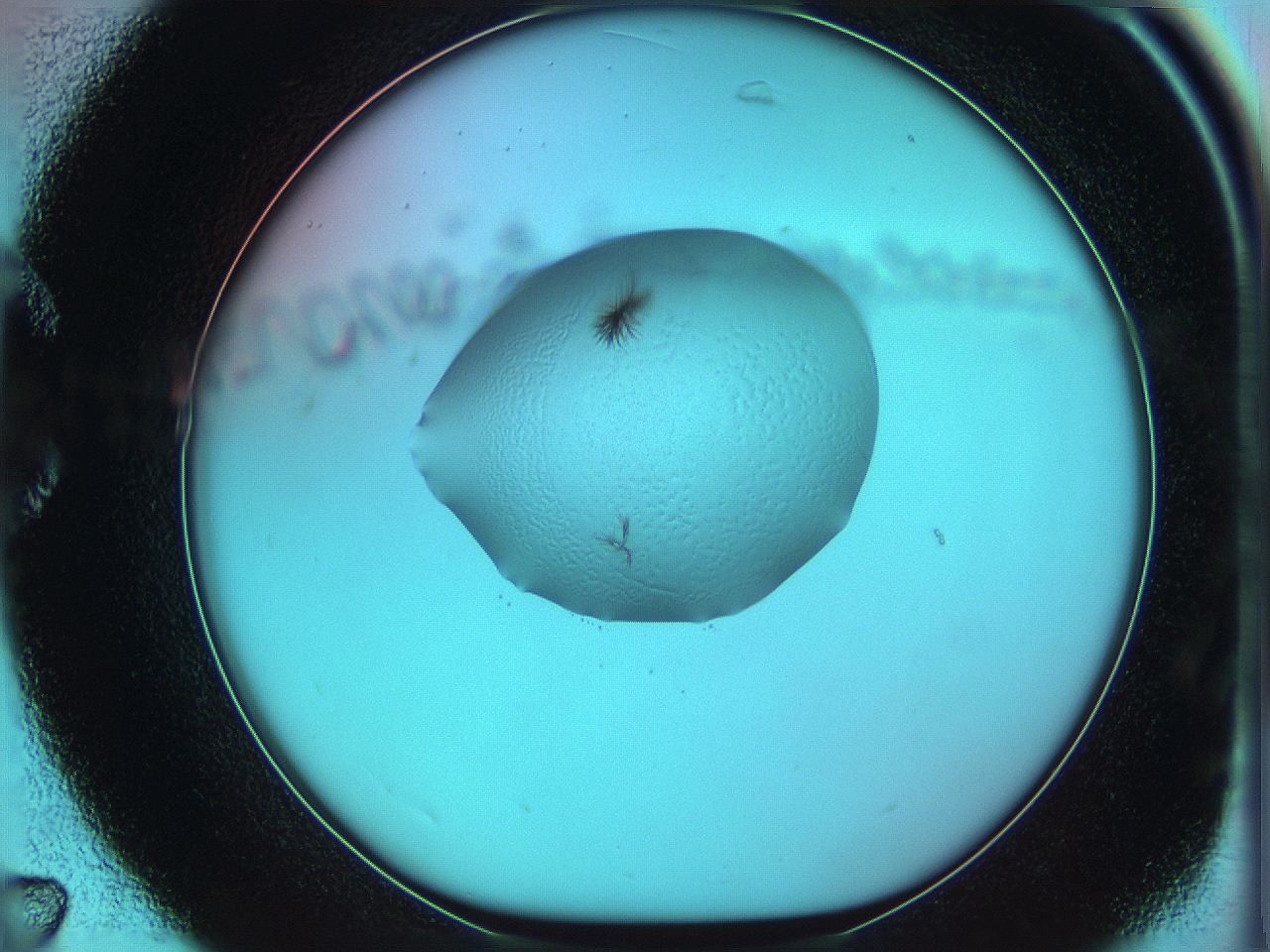 05yx_C7_ImagerDefaults_5.jpg