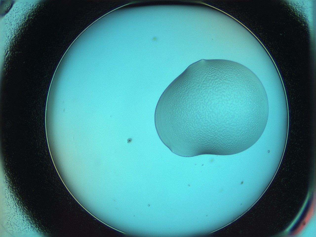 05yx_C9_ImagerDefaults_5.jpg