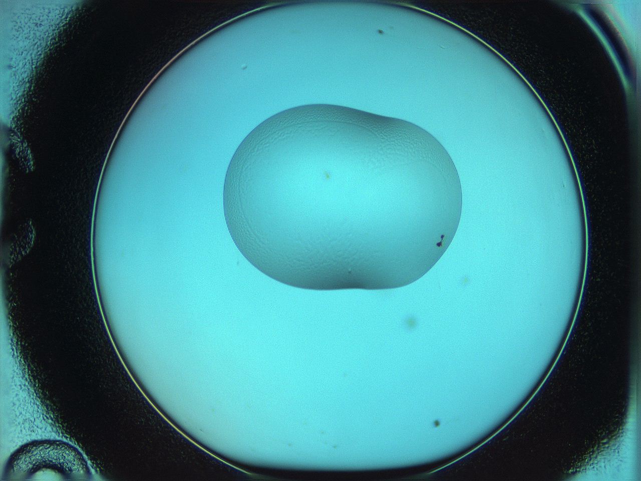 05yx_C10_ImagerDefaults_0.jpg
