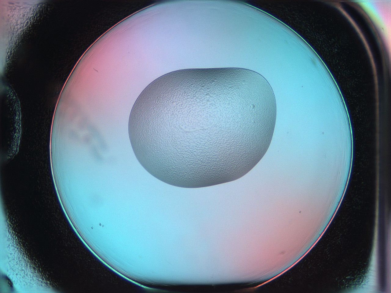 05yx_D3_ImagerDefaults_5.jpg