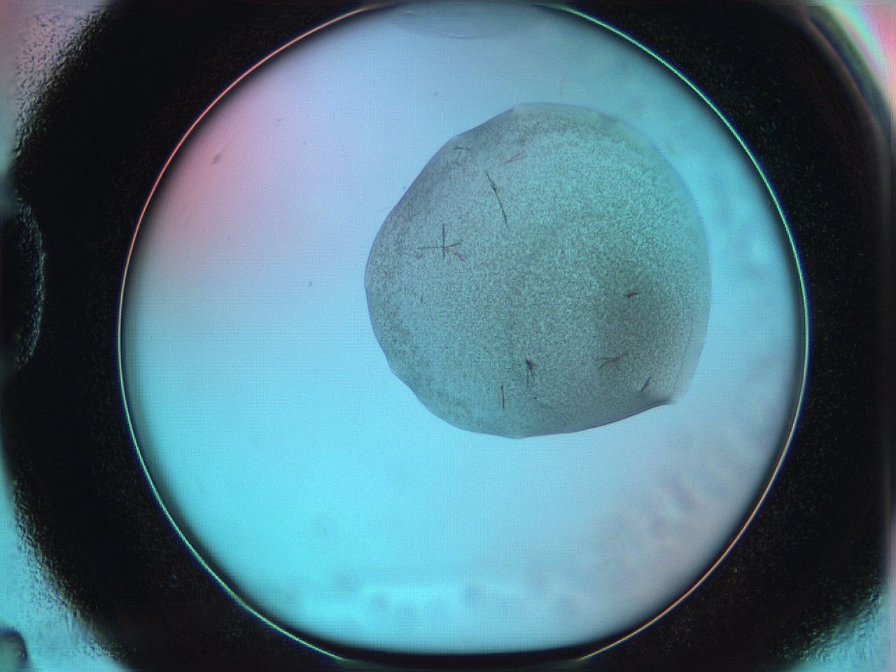 05yx_D4_ImagerDefaults_7.jpg