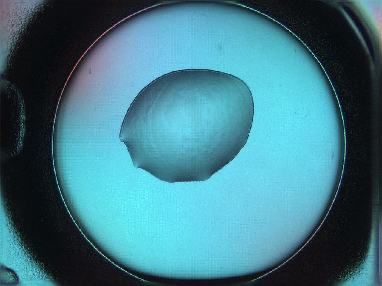 05yx_D6_ImagerDefaults_5.jpg