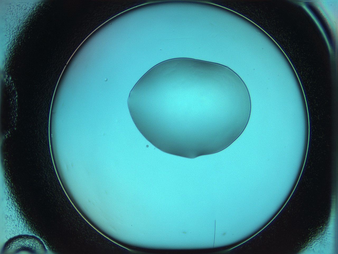 05yx_D10_ImagerDefaults_0.jpg