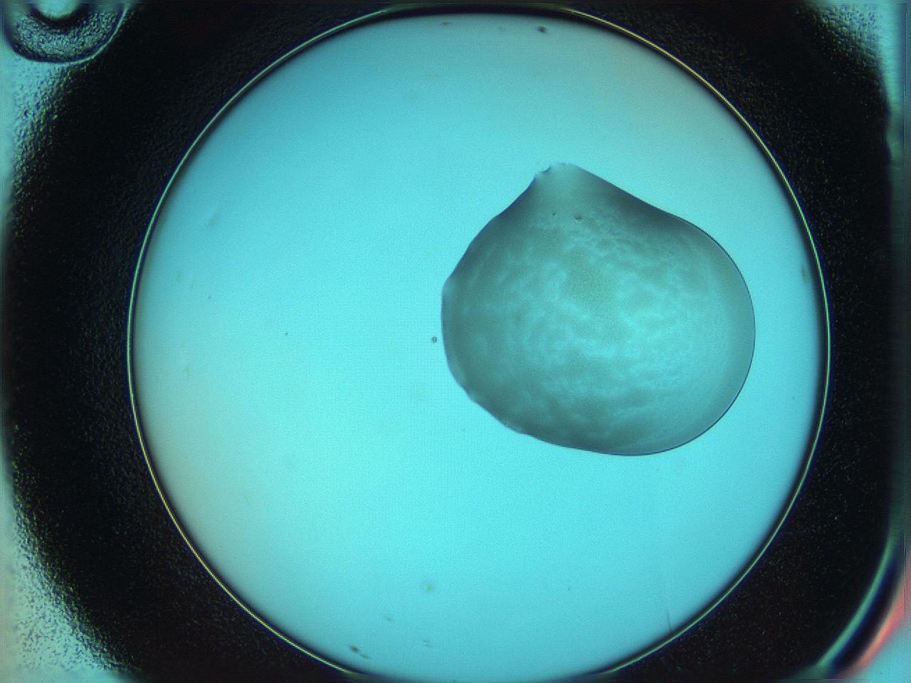 05yx_D10_ImagerDefaults_3.jpg