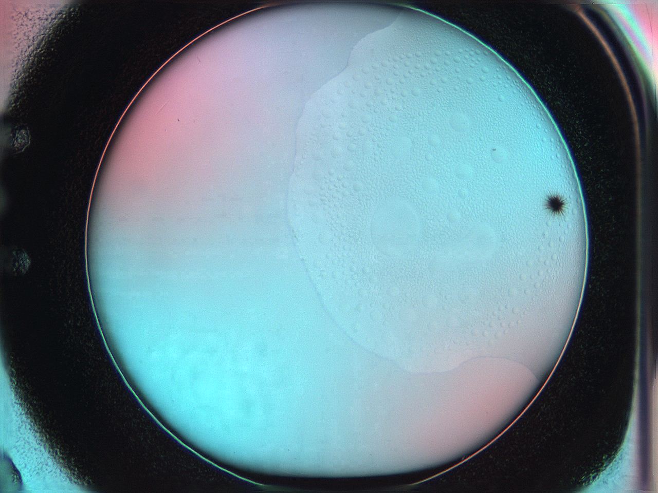 05yx_E2_ImagerDefaults_5.jpg