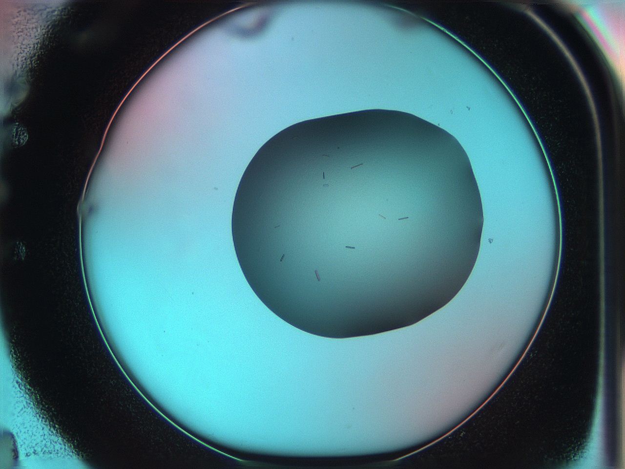 05yx_E4_ImagerDefaults_9.jpg