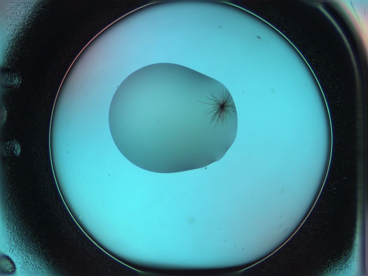 05yx_E6_ImagerDefaults_7.jpg