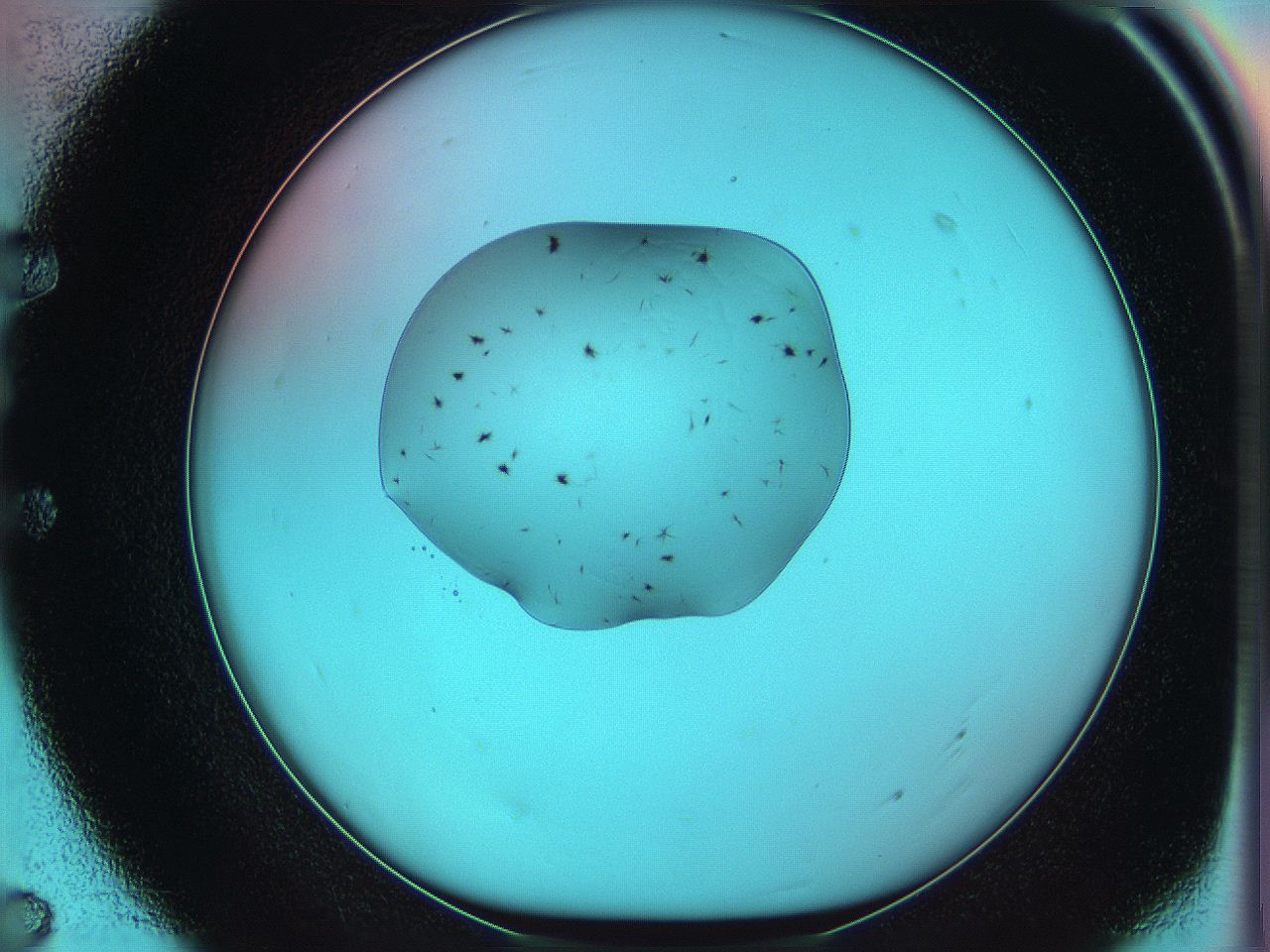 05yx_E7_ImagerDefaults_7.jpg