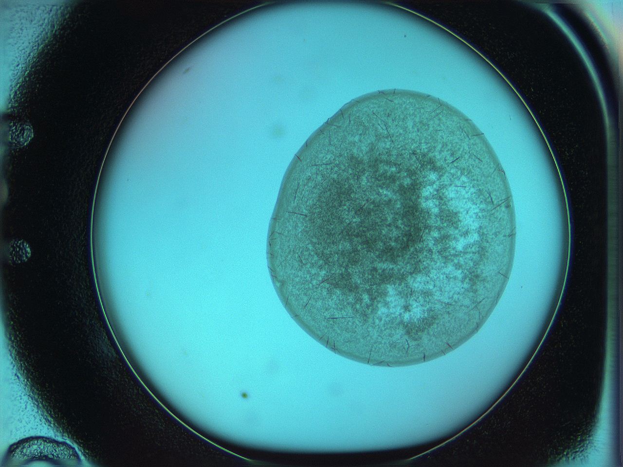 05yx_E10_ImagerDefaults_3.jpg
