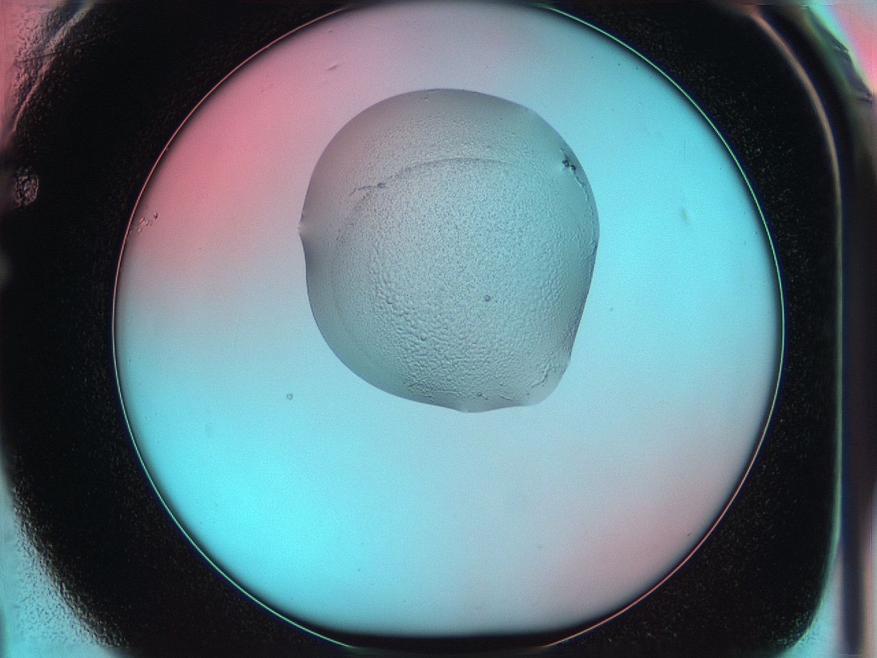 05yx_F1_ImagerDefaults_5.jpg