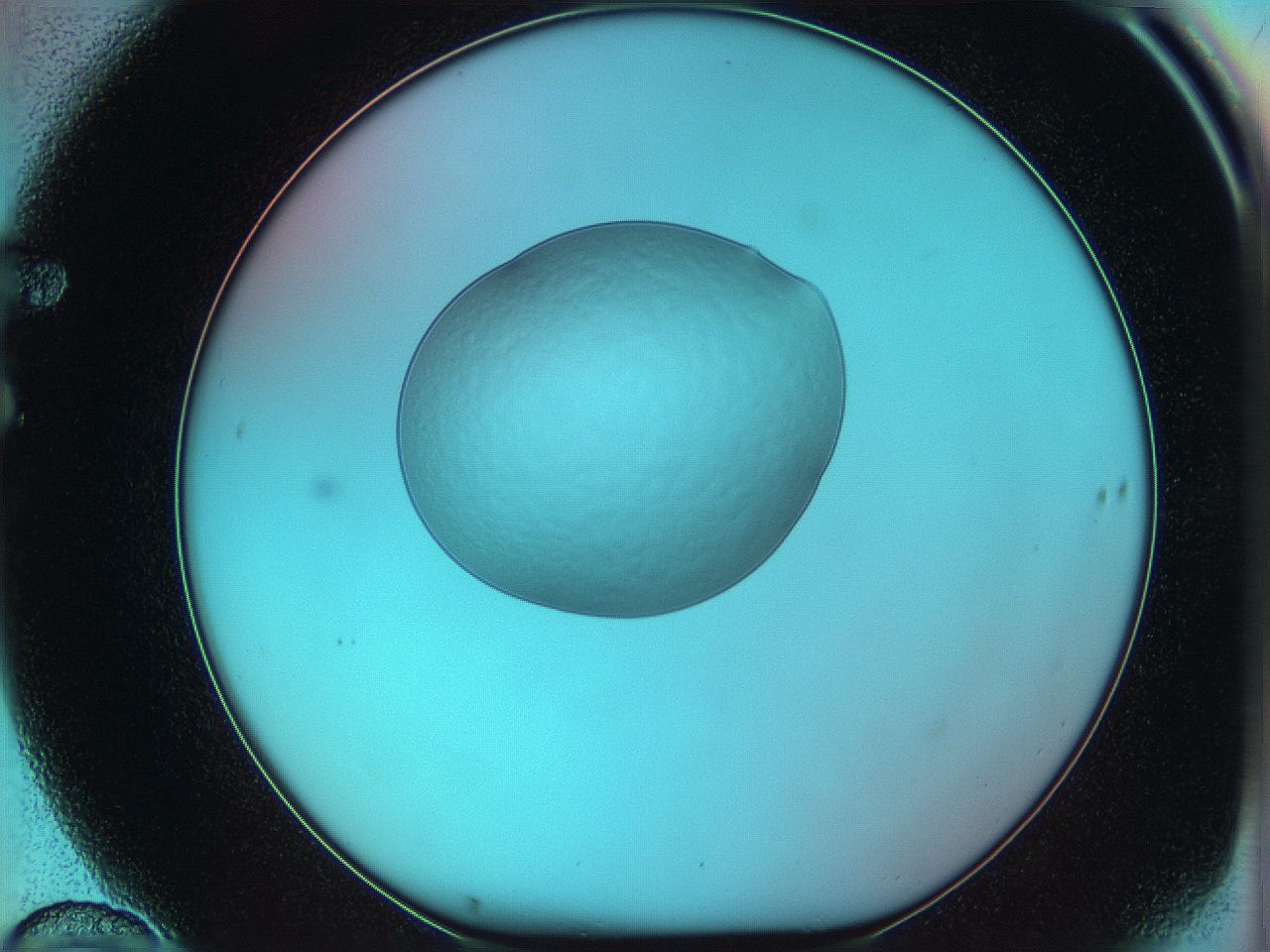 05yx_F10_ImagerDefaults_0.jpg