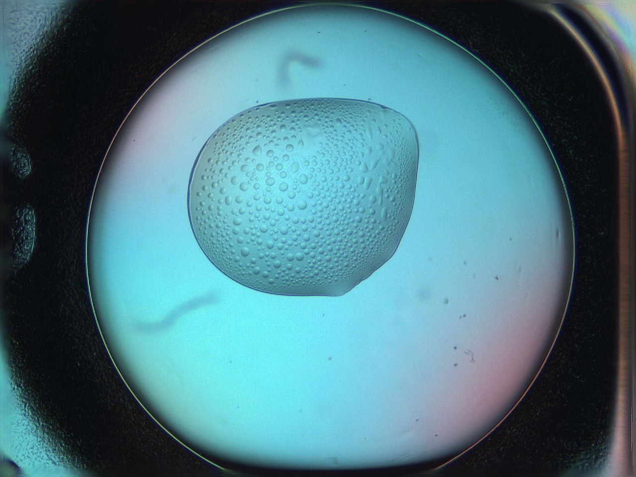 05yx_G8_ImagerDefaults_5.jpg