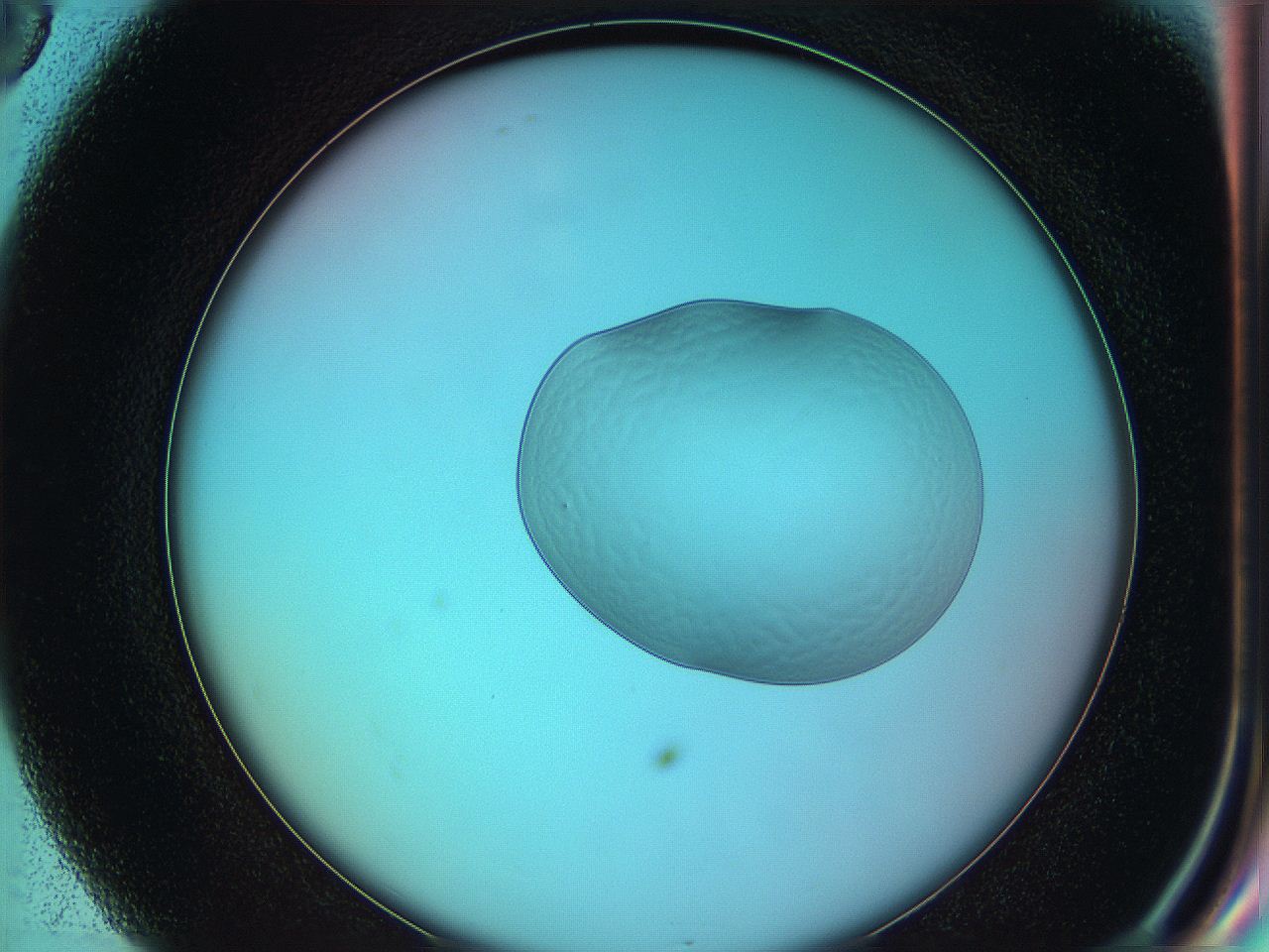 05yx_G8_ImagerDefaults_0.jpg