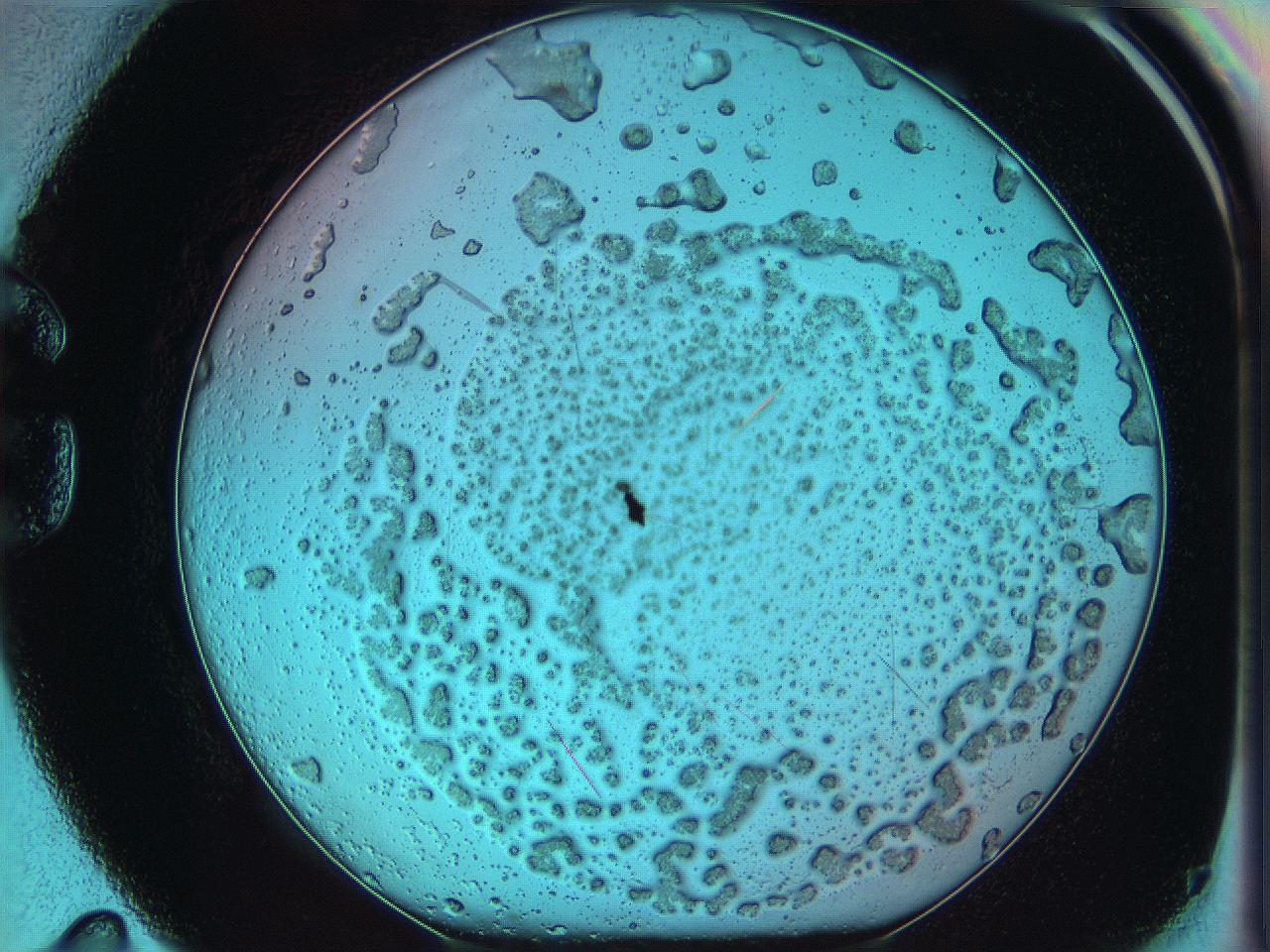 05yx_G11_ImagerDefaults_7.jpg