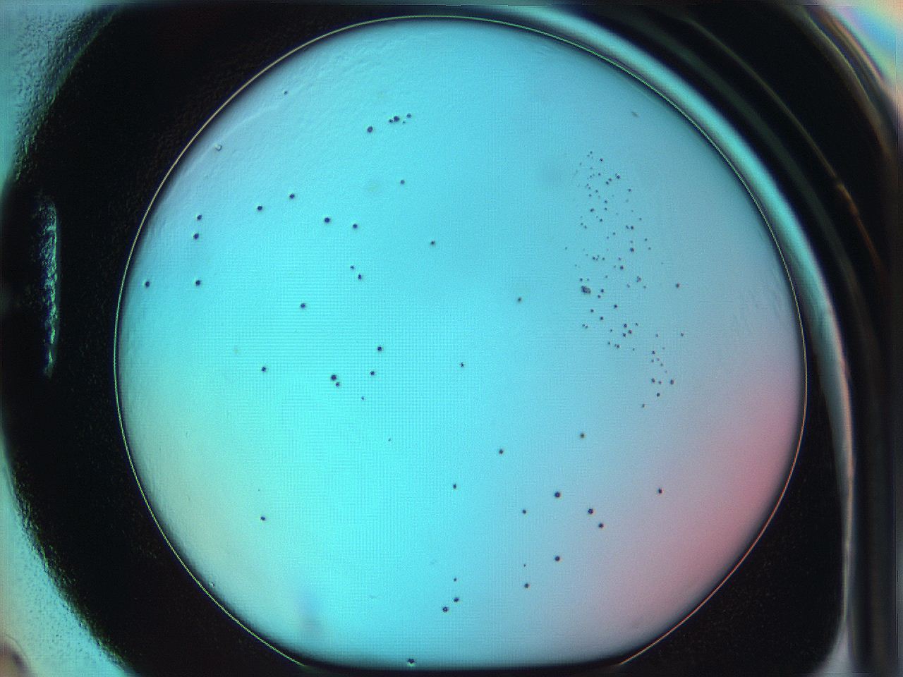 05yx_H4_ImagerDefaults_0.jpg