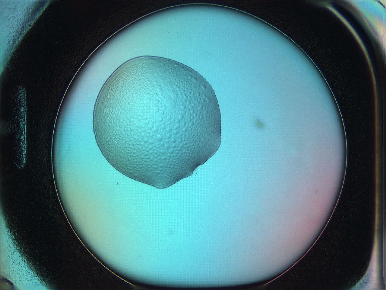 05yx_H6_ImagerDefaults_5.jpg