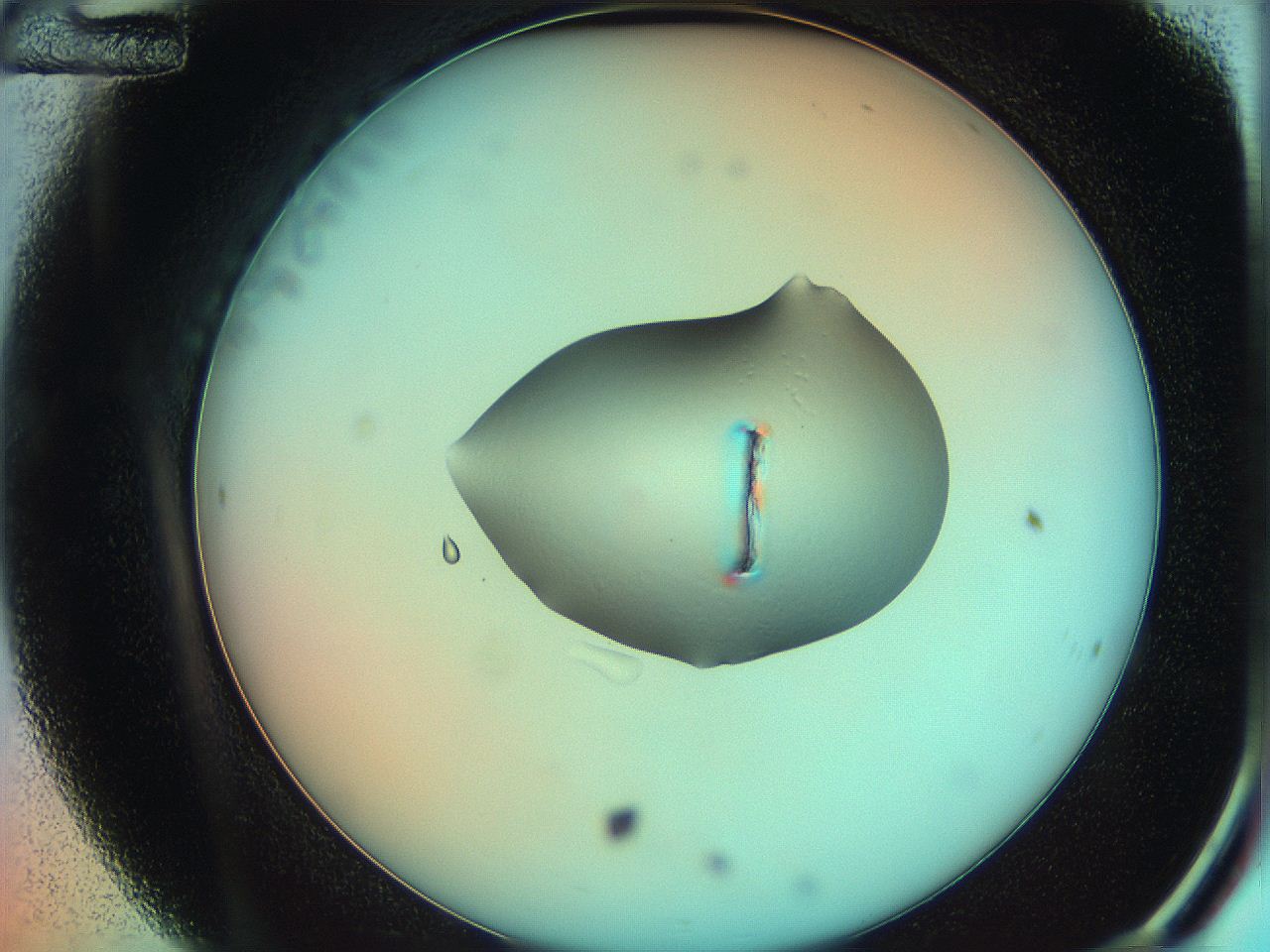 05yy_C12_ImagerDefaults_0.jpg
