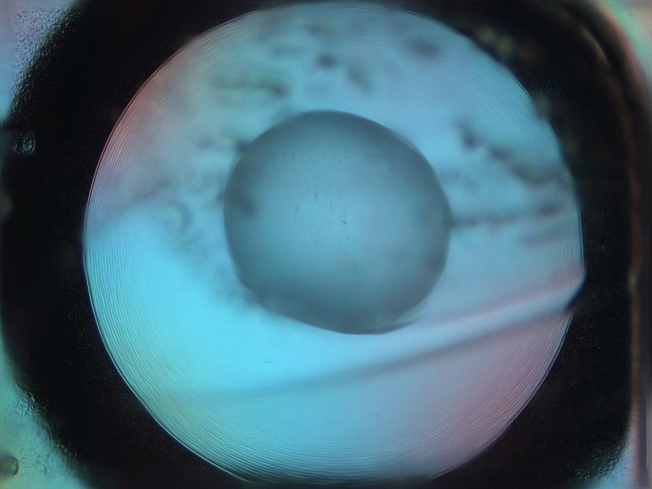 05yy_F5_ImagerDefaults_0.jpg