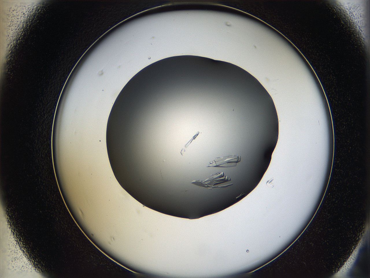 05yy_F7_ImagerDefaults_9.jpg