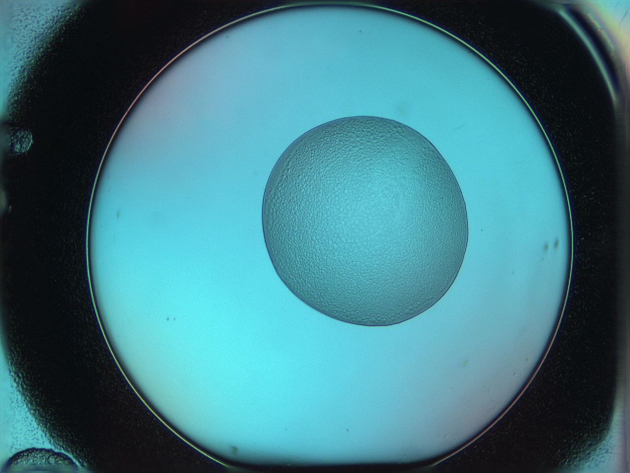 05yy_F10_ImagerDefaults_5.jpg